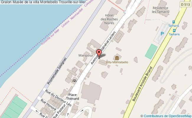 Mus&eacute;e de la villa Montebello