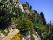 Jardin Exotique De Monaco 