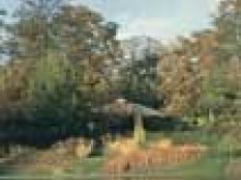 Parc Floral De Paris 