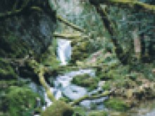 Circuit des cascades