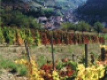 Sentiers autour de Cerdon