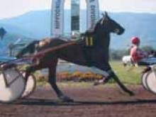 Hippodrome  Divonne-les-bains