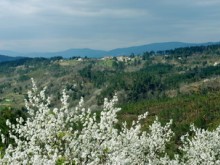 Plage La plaine Bessèges qualité baignade Plage La plaine Bessèges