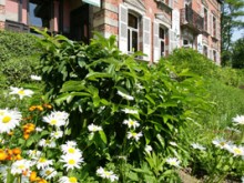 Maison Du Bocage - ÉcomusÉe De L'avesnois  Sains-du-nord