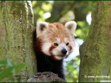 Parc Zoologique Du Bois De Boulogne à Lille 