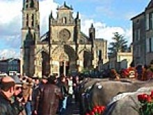 Cathédrale de Bazas