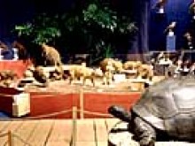 Muséum D'histoire Naturelle  Bordeaux