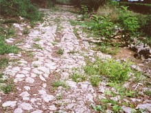 Voie Gallo-romaine  Barsac