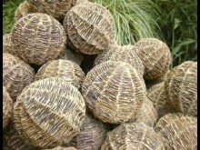 Atelier Elément Terre  Salies-de-béarn