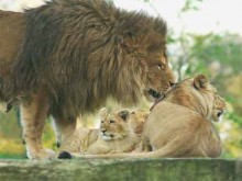 La Bourbansais  Pleugueneuc