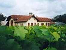 Ecomusée De La Vigne Et Du Vin  Gradignan