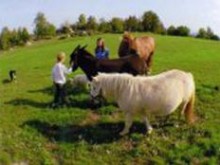 Ferme De Découverte Du Saladou  Saint-just