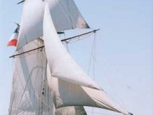 Le Renard  Saint-malo