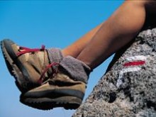 Tour Pédestre Du Lac Pavin  Besse