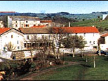 Découverte De La Gentiane Et De L'apéritif Avèze  Riom-ès-montagnes