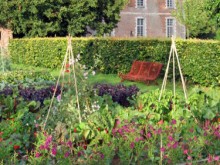 Festival de Couleurs pour Botaniste en Herbe