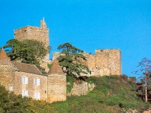 Chateau De Brancion  Martailly-lès-brancion