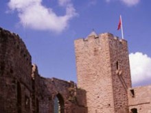 Le château de Wangenbourg 