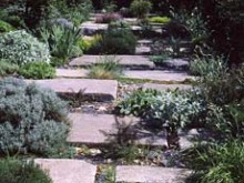 Jardin Agapanthe  Grigneuseville