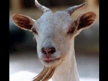 Ferme St Joseph  Gancourt-saint-etienne