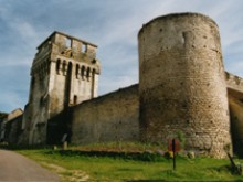 Chateau Fort Des Comtes D'auxerre  Druyes-les-belles-fontaines