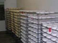 Fromagerie Durand  Camembert