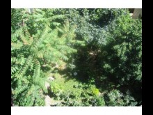 Entre Cour et Jardin