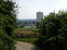 Jardins Public du clos du Roy