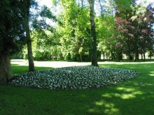 Parc Du Chateau De Montigny-sur-aube 
