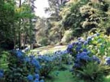 Parc Des Sources D'elle  Saint-germain-d'elle