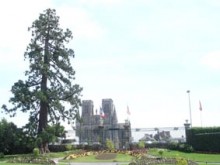 Jardin Des Plantes   Avranches