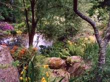 Parc Botanique De La Sienne  La Baleine