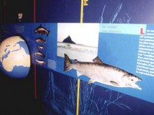 Ecomusée De La See  Brouains