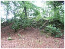 Motte Castrale   Saint-sever-calvados