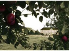 Ferme De La Sapinière  Saint-laurent-sur-mer