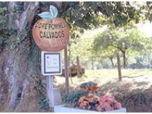 Cidre De Cambremer  Beaufour-druval