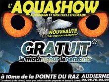 Aquashow
