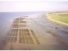 La Calvadosienne   Asnelles