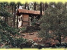 Plage La plaine Bessèges qualité baignade Plage La plaine Bessèges