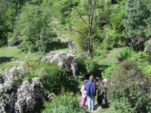 Jardin du mas de Quinty