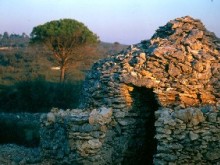 Le Clos Du Gaillard  Nîmes