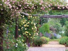 Roseraie du Patrimoine Ardennais 