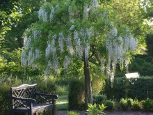 Jardins de la Lande Chevrier