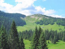 Point de Vue le Creux de la Haute Roche 