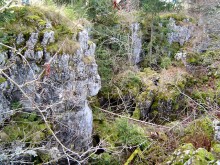 Sentiers d'interprétation "Les 3 Sapins"