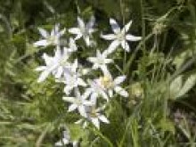 Sentier d'Interprétation "Bois Saint Michel"