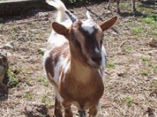 Les Jardins De Fraîche Comté  Roset-fluans