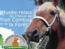 Musée Relais Du Cheval De Trait   Levier