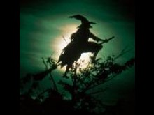 Musée De La Sorcellerie  Blancafort