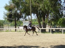 Centre Equestre du Grand Pré